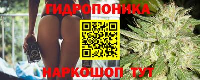 jwh Берёзовский