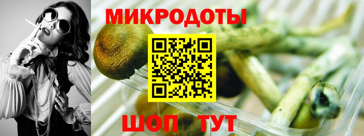 Галлюциногенные грибы MAGIC MUSHROOMS  Вход с VPN  Касимов 